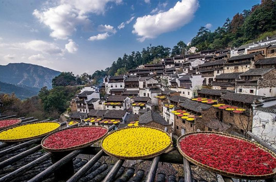 <三清山专享3天>篁岭晒秋 十里瑶湾